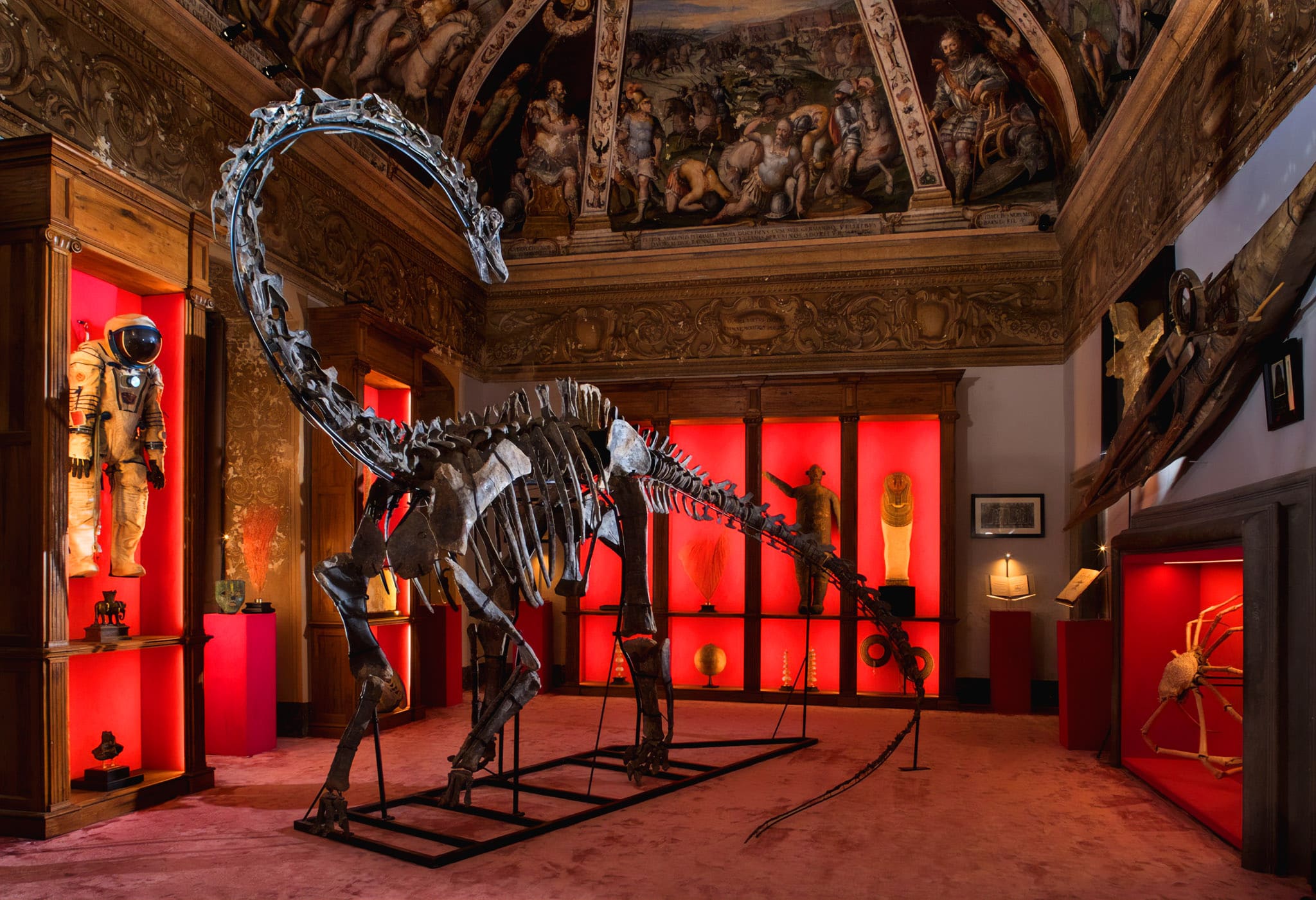 Curiosa // The Grand Immersive Cabinet of Curiosities